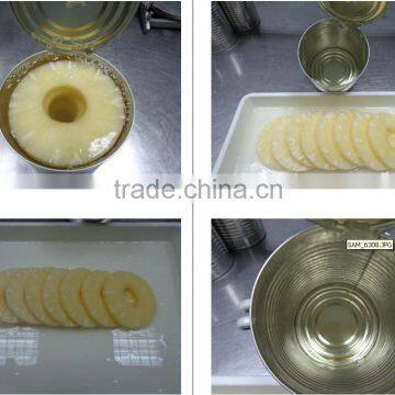Standard Grade Canned Pineapple Slices in Ligh Syrup From Thailand photo-3