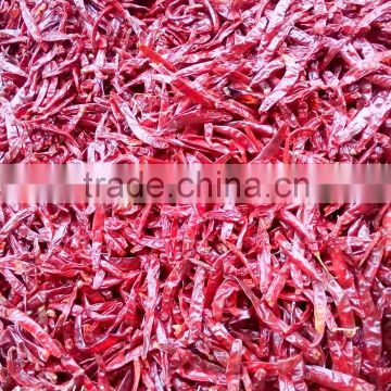 DRIED HOT CHILLI +84963818434 whatsapp