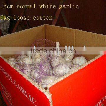 fresh normal white garlic and fresh pure white garlic