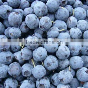 2015 IQF Frozen Blueberry Frozen Fruit Supplier