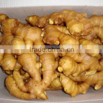 2010 crop fresh ginger