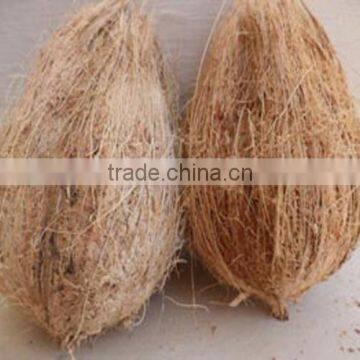 UK's Much preferred semi husked coconut