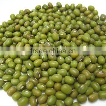 Competitive Price and Hot Split Green Mung Bean From Vietnam for Sale