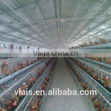 Wholesale Small Animal Cages for Automatic Chicken Cage