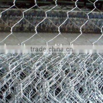 Hexagonal Wire Mesh for Hot Sale