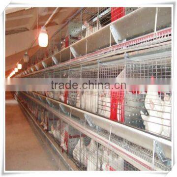 Poultry farming automation h type broiler layer cage for sale