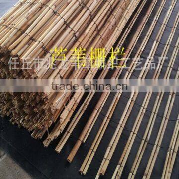 Natural Tonkin Bamboo Cane photo-3
