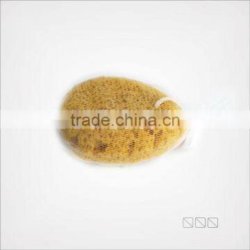 cleaning sponge