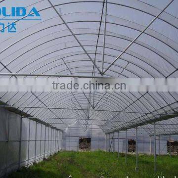 8m/9m/10m Single Span Tunnel Greenhouse For Sale