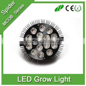 24W 36w 45w 54w LED Grow Light w/ Red & Blue LED Spectrum for Indoor Plant Growing photo-3