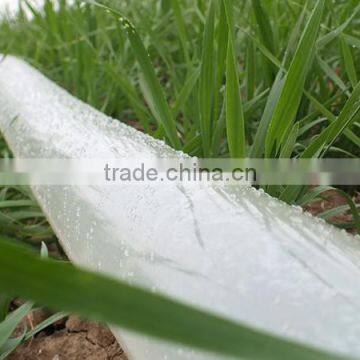 Chinese Manufacturer Transparent Color 2 Blue Line PE pe Lay Flat Hose photo-2