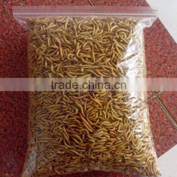 Poultry Feed Additive High Protein Mealworm photo-2