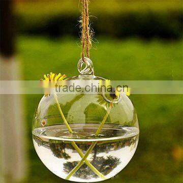 Acrylic Round Terrarium photo-3
