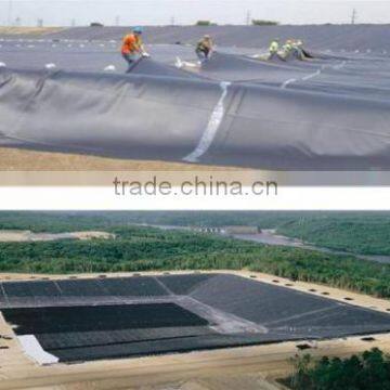 High Tearing Resistance Geomembrane Production photo-2