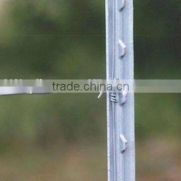 Steel Fence Post-T Style on Hot Sale China Supplier on Sale photo-3