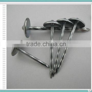 50 Jute Bag Roofing Nails