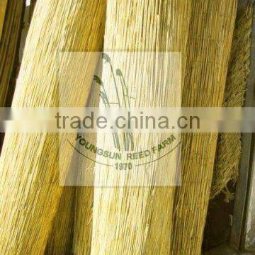 Reed Curtain photo-3