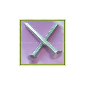 Galvanized Square Shank Boat Nails photo-2