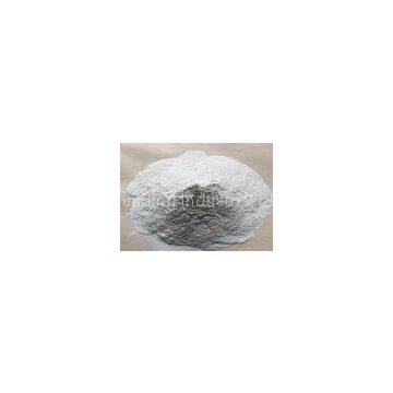 High Strength Interior Cement Wall Putty Cement Based Mortar