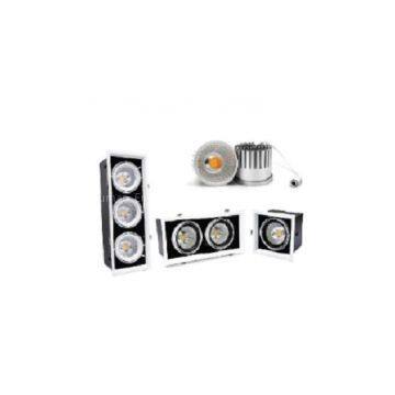 Recessed LED Down Light[Pandora]