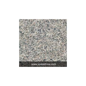 G623 Bianco Sardo Snow Grey Granite(Slab, Flooring Tile or Wall Tile, Countertop and Vanity Top)