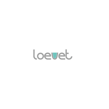 Shenzhen Loevet Co., Ltd