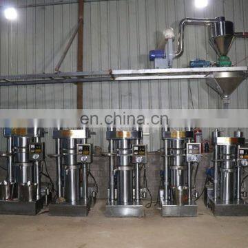 Factory Directly Sale Automatic Cold Press Kenya Small Avocado Oil Press Machine photo-7