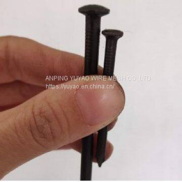 Hot Sale Black Galvanized Nails Black High Hardness Nail Black Nails for Construction photo-3