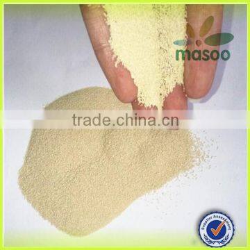 Yeast Dry, Yeast Powder