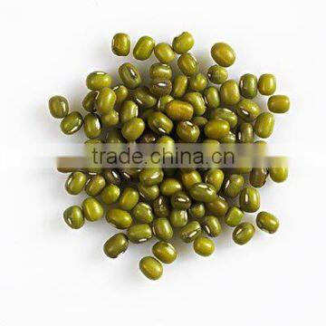 green mung bean