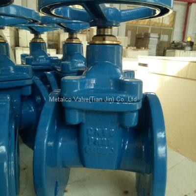 PN25 DIN F4 Non-rising Stem Resilient Seated Gate Valve photo-2