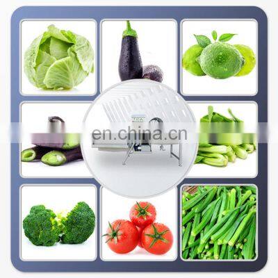 Automatic Vegetable Fruit Processing Line Fruit Vegetable Washing Cutting Blanching Machine