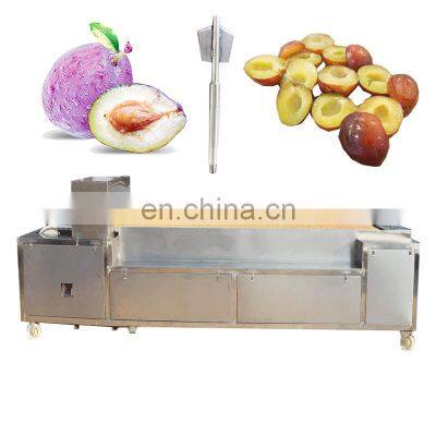 Multifunction Separating Date Quince Apricot Pear Plum Apple Cherry Seed Remove Machine Date Olive Fruit Pitting Machine