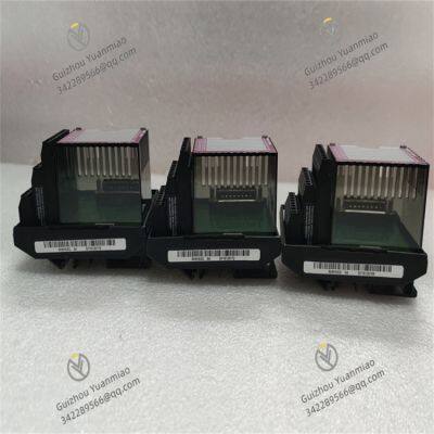 FOXBORO RH916XG Input Module photo-2