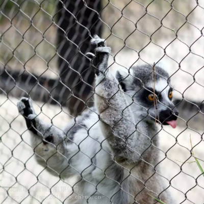 304 Stainless Steel Wire Aviary Rope Zoo Mesh for Zoo Enclosure