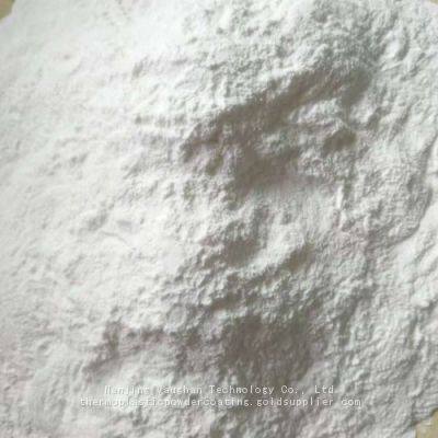 Polyamide PA Nylon Powder Coating Supplier PA11 PA 12 Powder