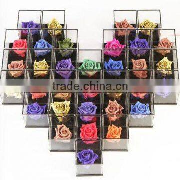 Magic Rose with Color Change & Luminous Function