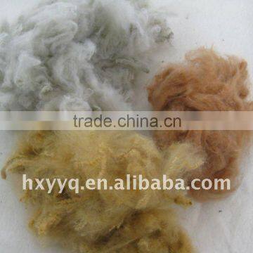 coloured staple polyester fibre