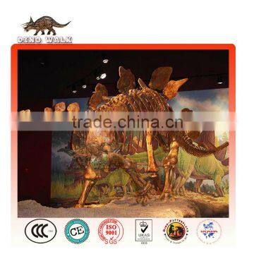 Amusement Equipment Artificial Stegosaurus Dinosaur Fossils for Sale