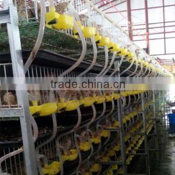 china new design best selling quail farm cage