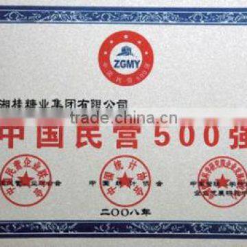 China Private Company Top 500