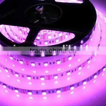 Hot Sale 5m Package RGB LED Flexible Strip Kit for Small and Narrow Signs Lighting and Partial Lighting photo-2