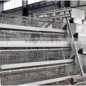 galvanized steel material auto feed system for chicken