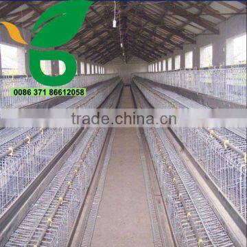 Wire mesh hot dipped galvanized chicken cage