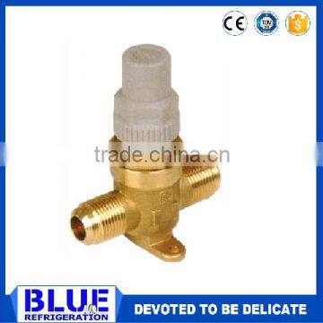 BLR Series Capped Valve