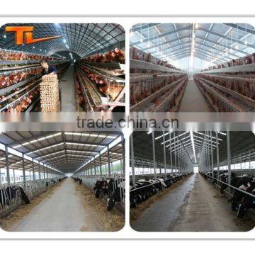 Prefabricated Building Steel Chicken Farm