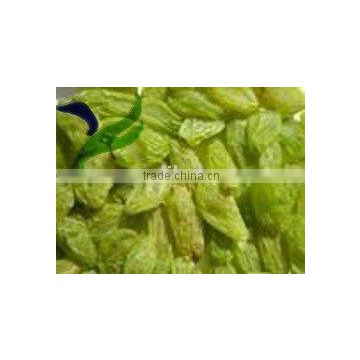 sweet green raisin with high quality and good price