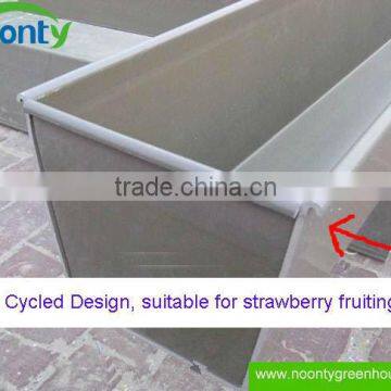 Strawberry Gutter photo-5