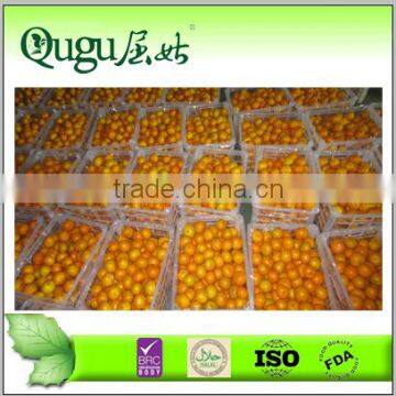 Mandarine fresh orange price