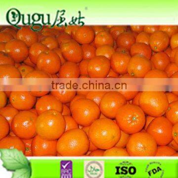 Navel orange